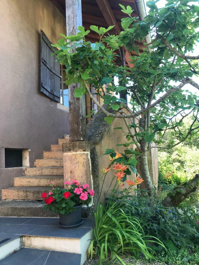 Bed and Breakfast Chez Sylvie et Thierry Royer Exterior foto